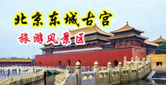 午夜福利爽片中国北京-东城古宫旅游风景区